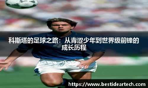 mk体育官网