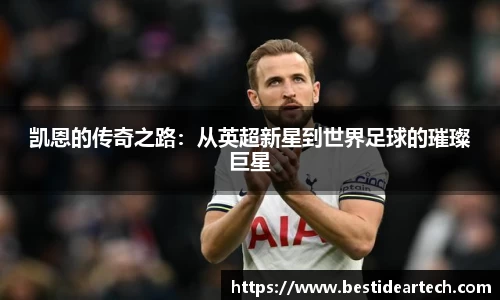mk体育