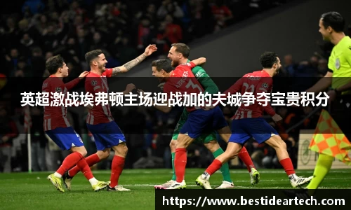 英超激战埃弗顿主场迎战加的夫城争夺宝贵积分